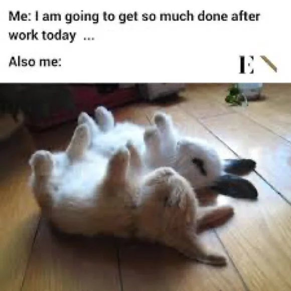 125 PICKS BEFORE I GOT CUT OFF!😻Y’ALL ROCK!🤘🏼TY FOR THE POSH LOVE/SHARES♥️🌷 - Picture 9 of 9